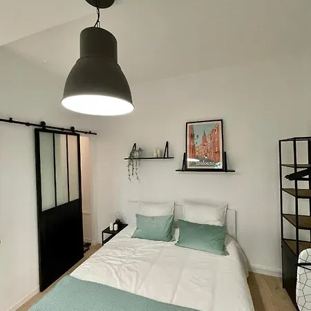 Studio 21m2 - Centre A 300m Du Metro Toulouse